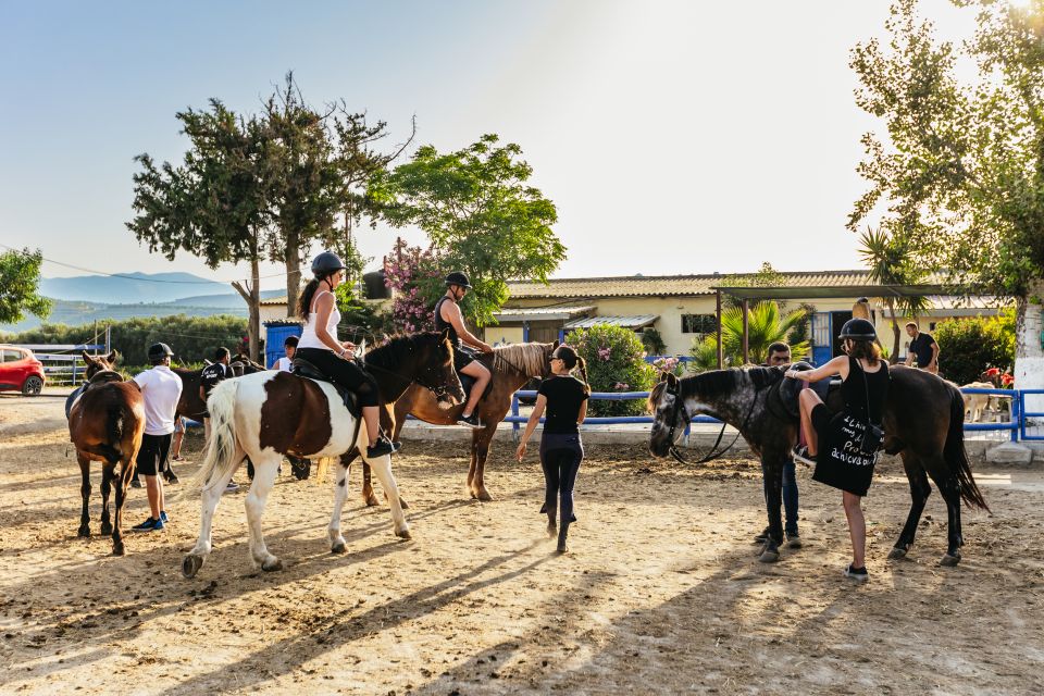 Heraklion: Finikia Horse Riding Day Tour With Lunch - Customer Reviews