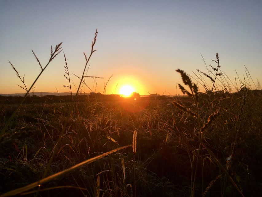 Wilder Skies - Somerset Nature Tours - Last Words