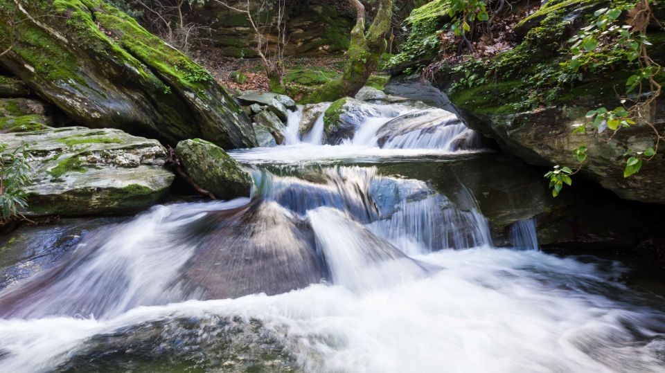 Andros: Achla River Trekking to the Waterfall - Meeting Point and Logistics