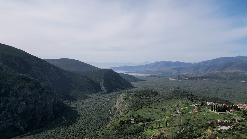 Delphi: Easy Hike on Ancient Path Through the Olive Groves - Interactive Activities