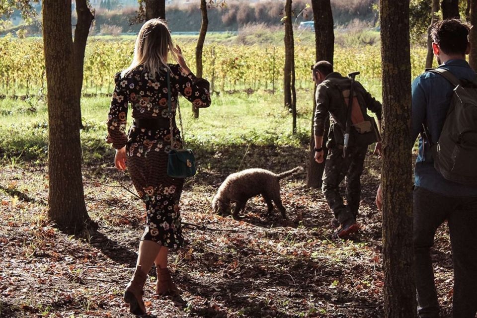 From Florence: Truffle Hunting With Lunch & Transportation - Last Words