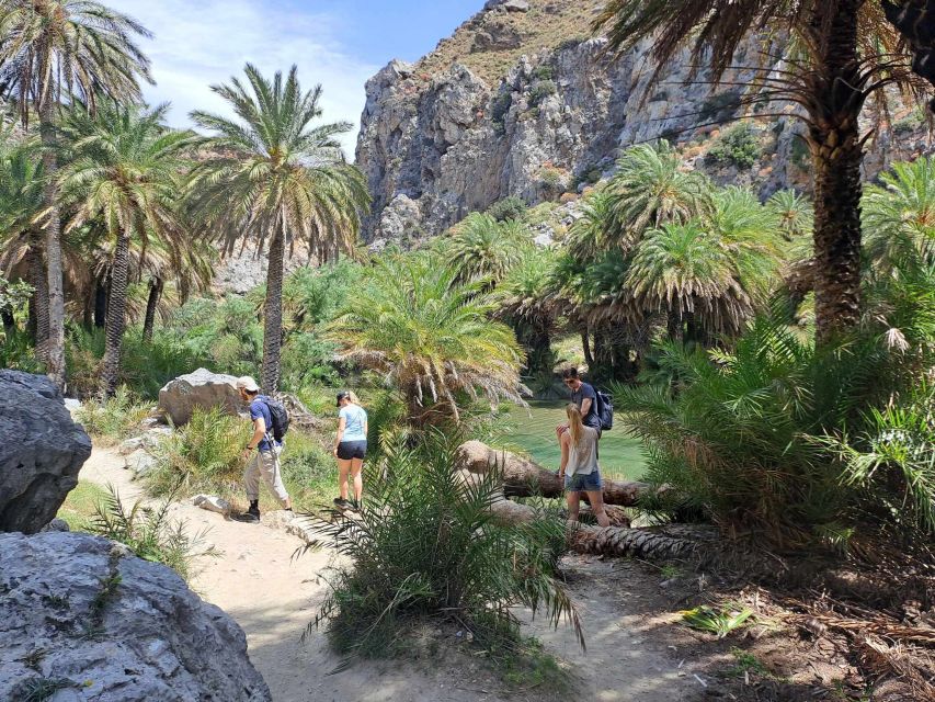 From Rethymno: Preveli Palm Beach and Damnoni Tour - Pickup Information