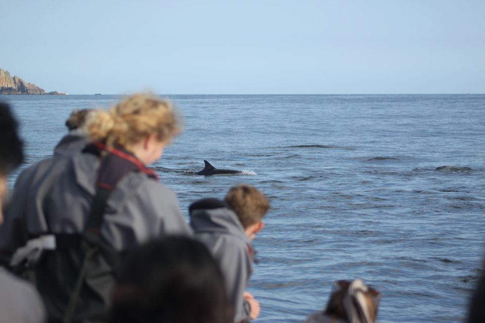 Godrevy to Hells Mouth Boat Trip - Restrictions