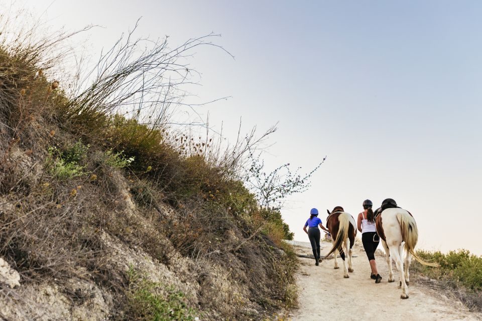 Heraklion: Finikia Horse Riding Day Tour With Lunch - Weather Considerations