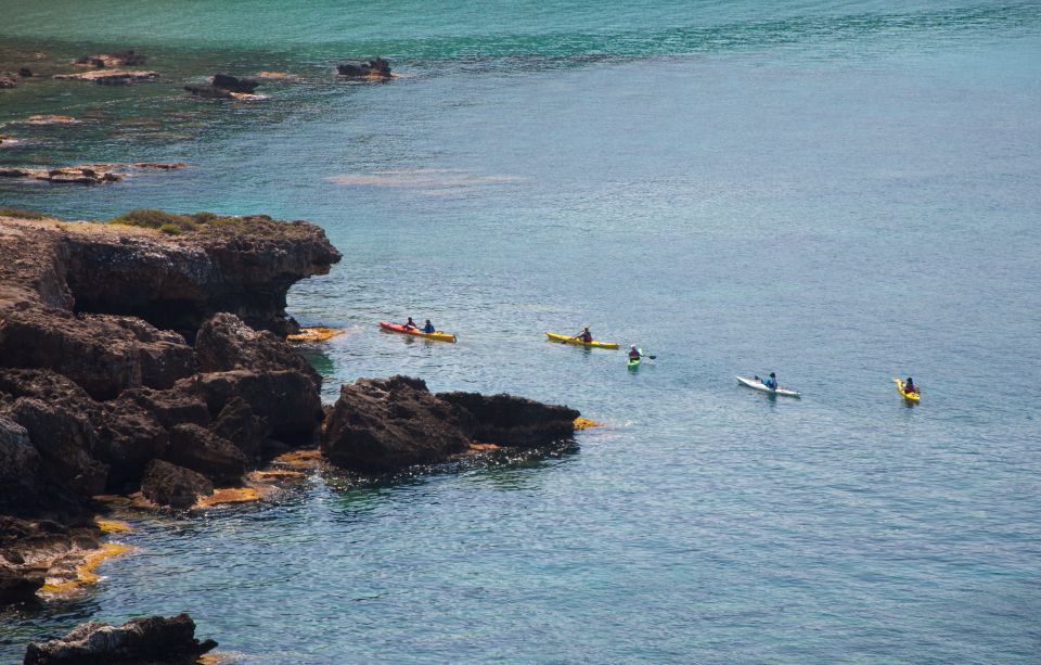 Kardamyli: Sea Kayaking With Lunch - Customer Reviews