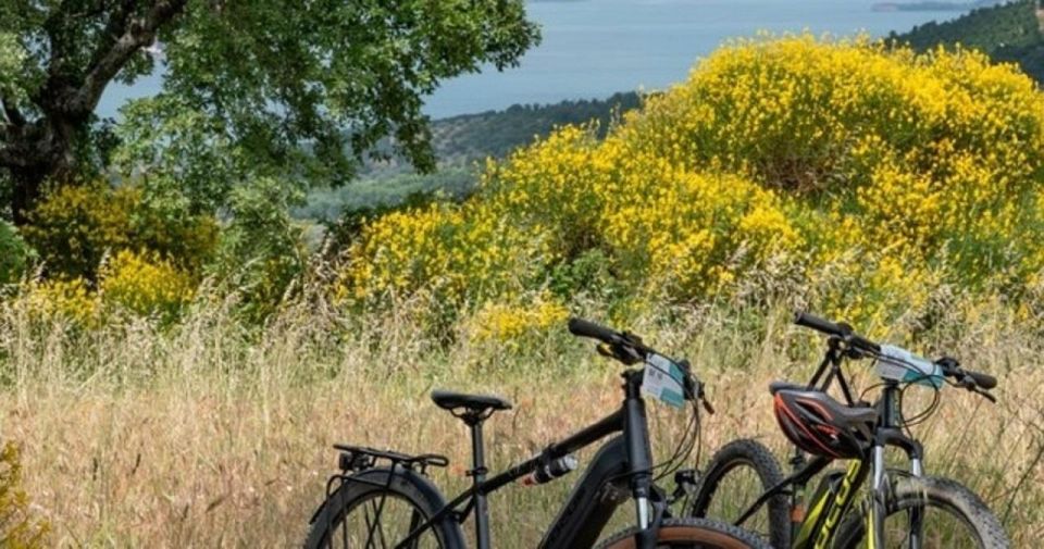 Lake Bolsena and the via Francigena Ebike Tour - Common questions