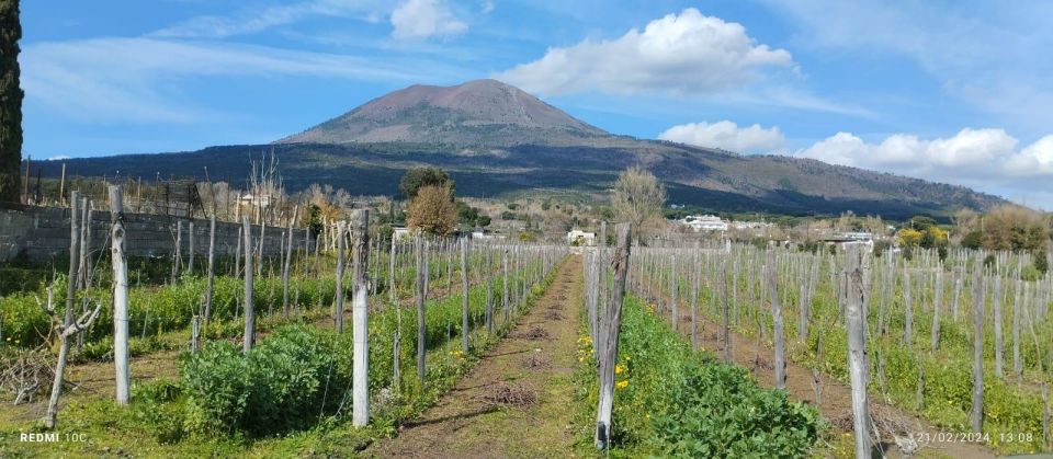 Pompeii and Wine Tasting Tour - Last Words