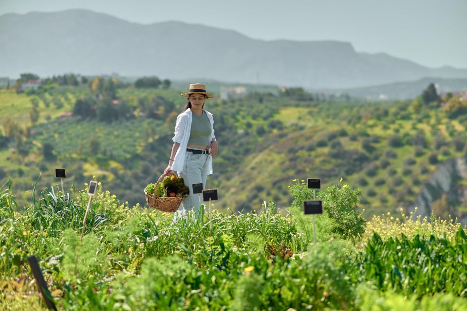 Regenerative Farming Veggies Tour & Salad Making Experience - Price and Duration