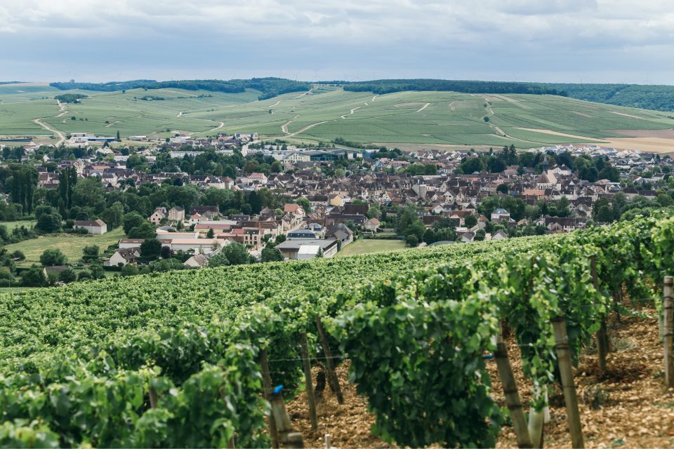 Verona: Private Tour of Soave and Amarone - Price and Inclusions