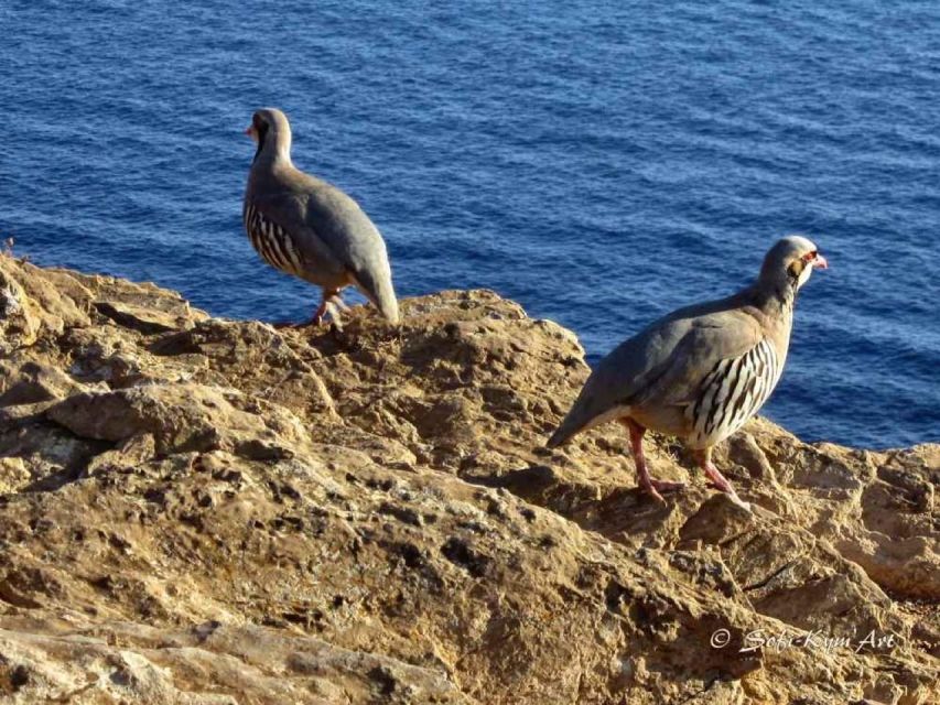 Cape Sounion Audioguide: Explore Greek Antiquity in Depth - Practical Tips for Visitors