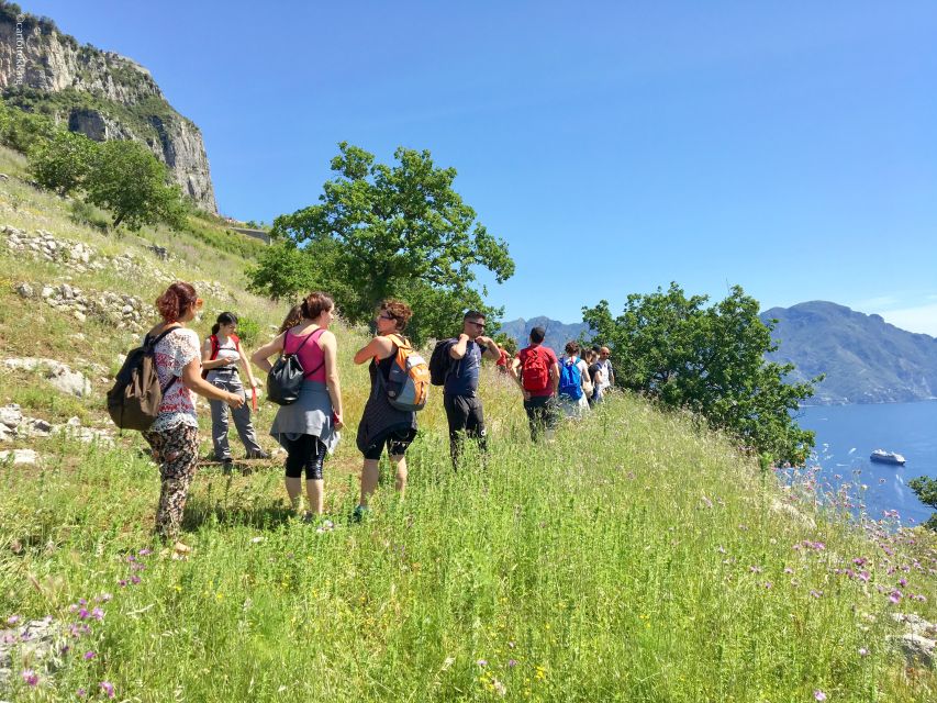 Amalfi: Walking Tour Between Furore Vertical Vineyards - Last Words