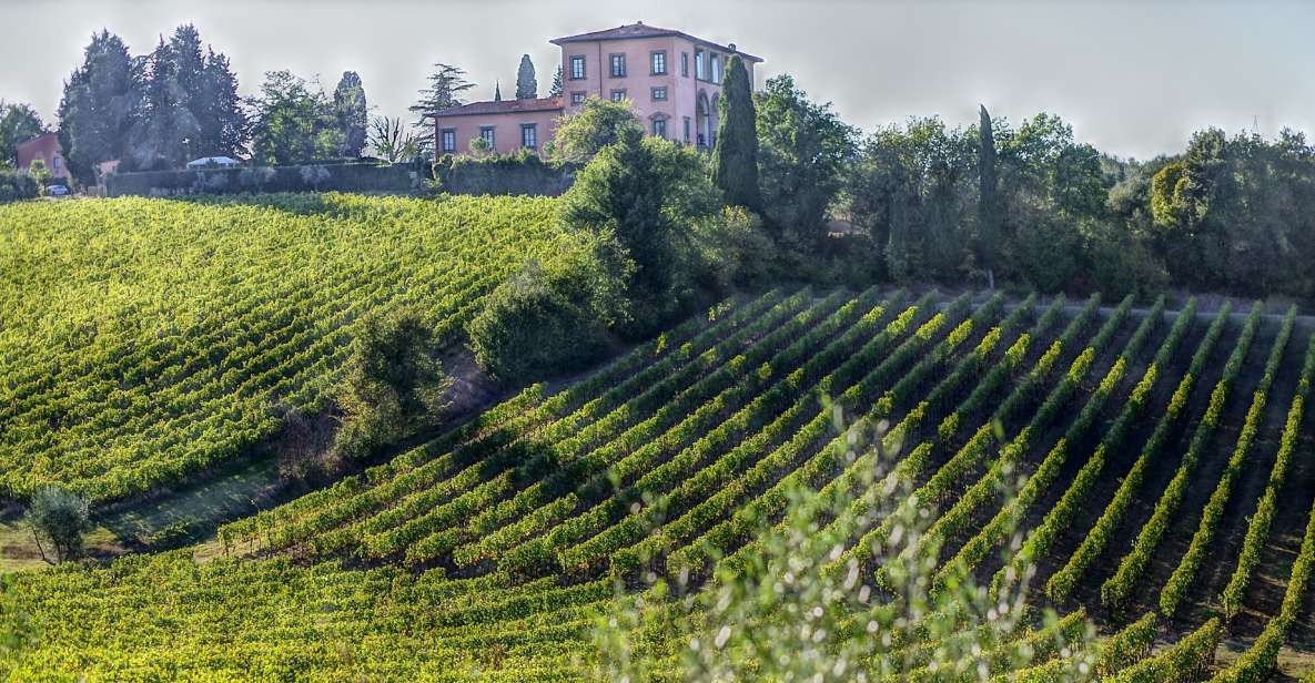 From Florence: PRIVATE Wine Experience in Chianti Classico - Key Points