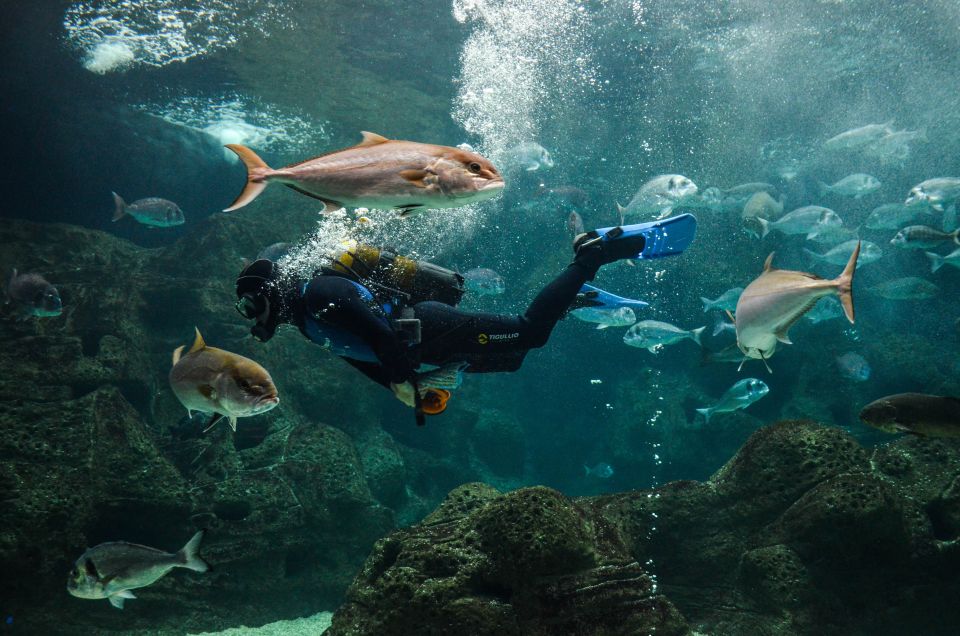 Heraklion: Heraklion Market & CretAquarium *Skip the Line - Customer Reviews