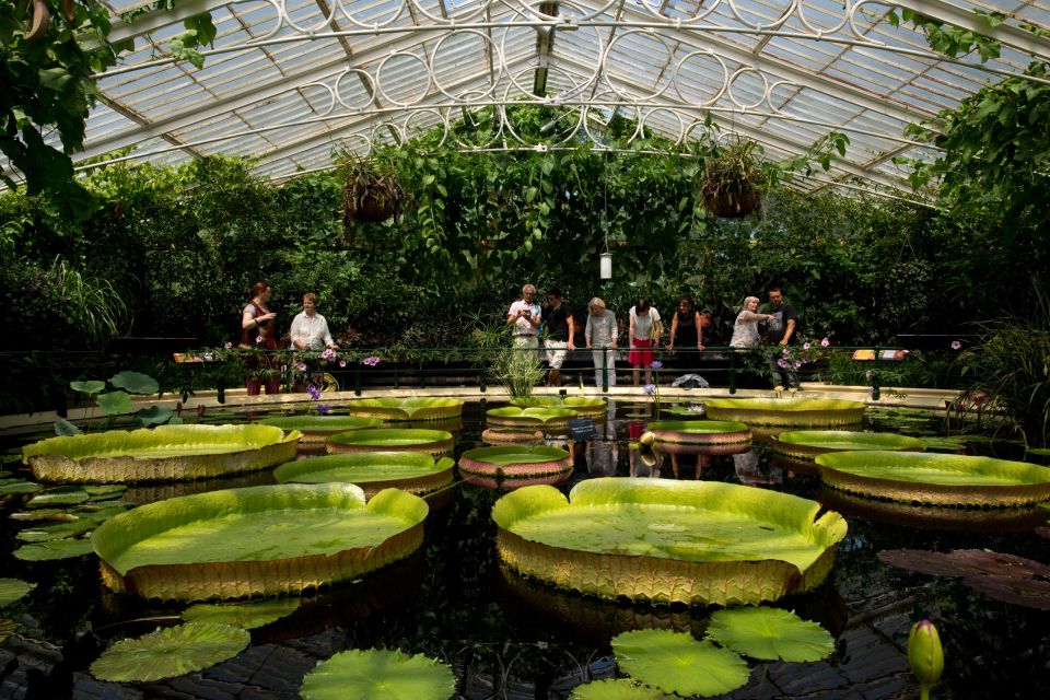 London: Kew Gardens Admission Ticket - Common questions