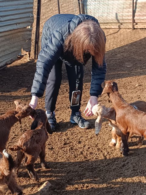 Thessaloniki: Visit a Farm and a Traditional Village - Common questions