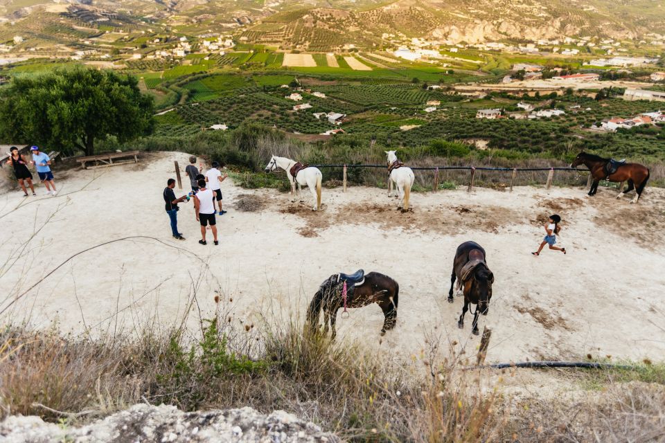 Heraklion: Finikia Horse Riding Day Tour With Lunch - Last Words