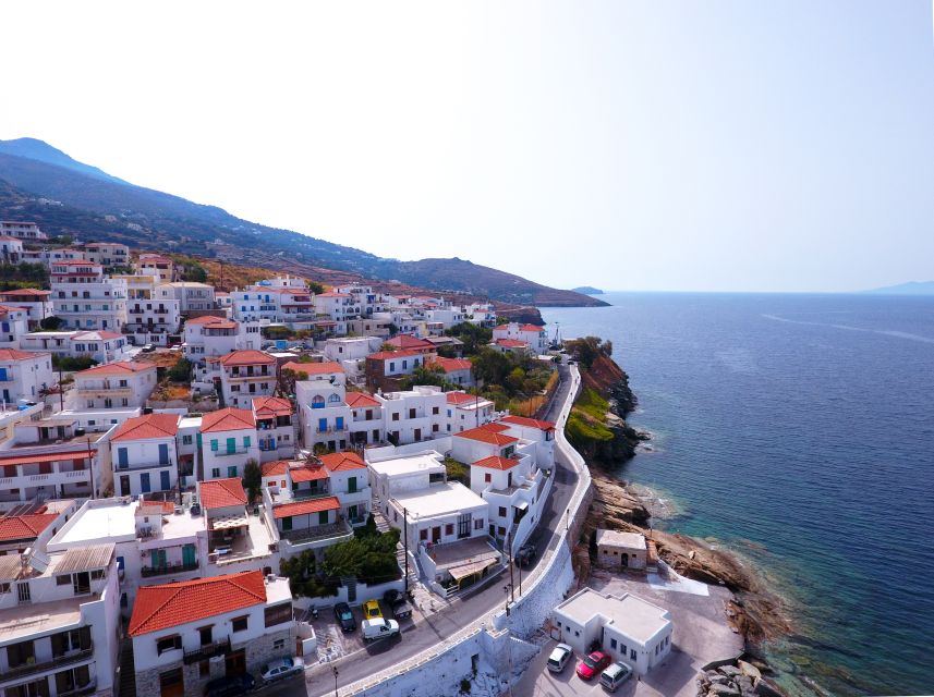 Andros: Private Transfer From Batsi Port - Key Points