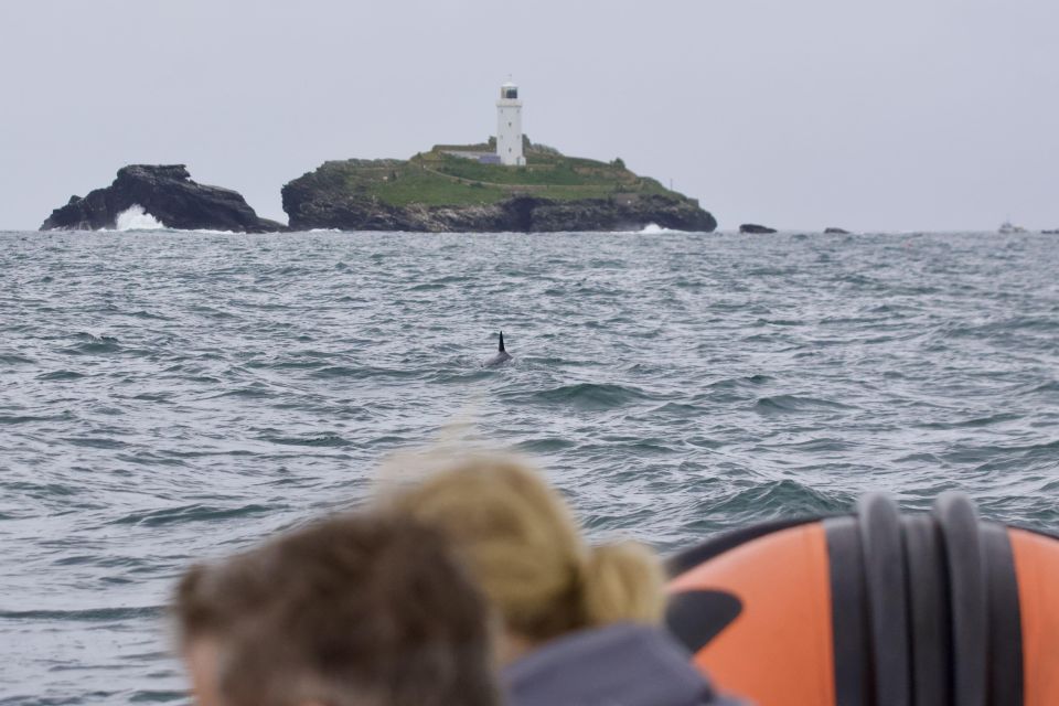 Godrevy to Hells Mouth Boat Trip - Key Points