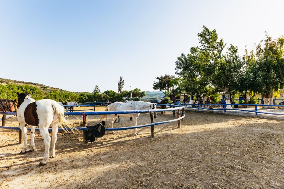 Heraklion: Finikia Horse Riding Day Tour With Lunch - Tour Details