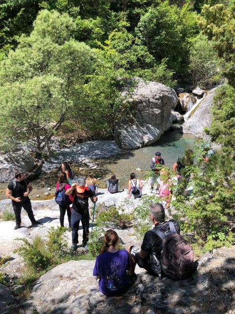 Hiking in Mt Olympus National Park - Price and Duration