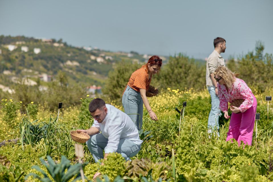 Regenerative Farming Veggies Tour & Salad Making Experience - Experience Details