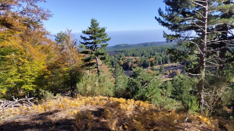 Trekking to Bottoniera Craters