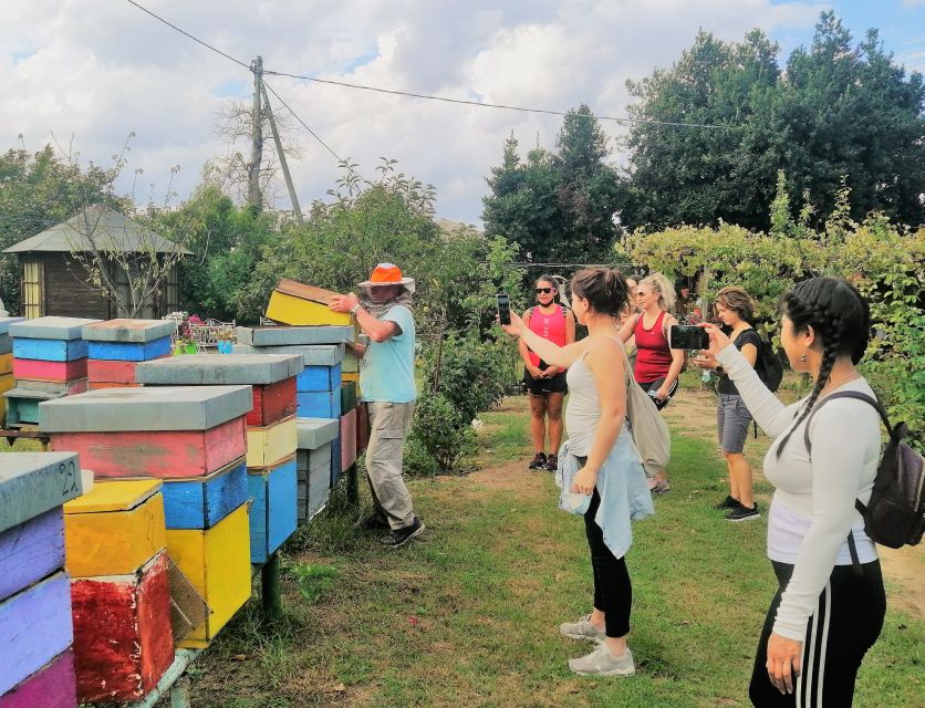 Venice: Bike Tour Honey & Artichockes on Sant'Erasmo Island - Key Points