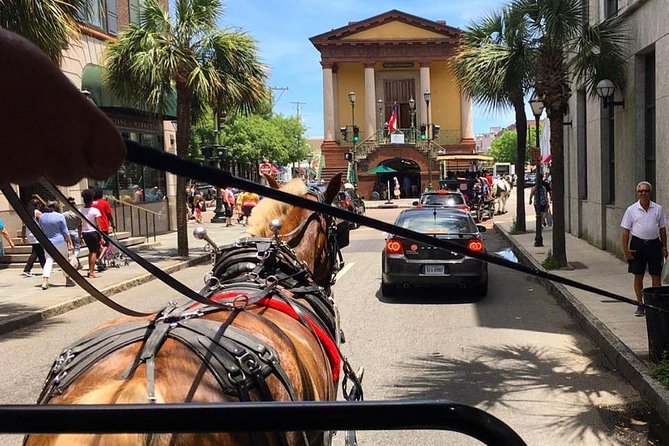 Charleston's Old South Carriage Historic Horse & Carriage Tour - Tour Experience
