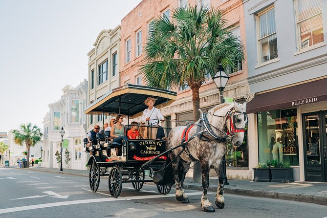 Charleston's Old South Carriage Historic Horse & Carriage Tour - Recommendations