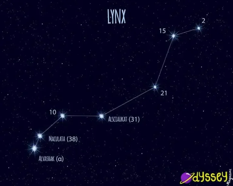 Lynx Constellation