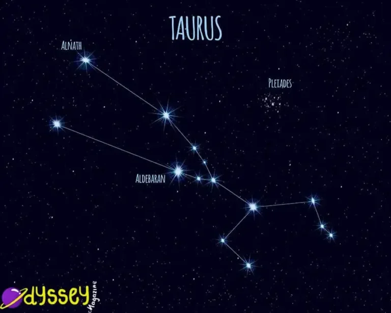 Taurus Constellation | The Bull